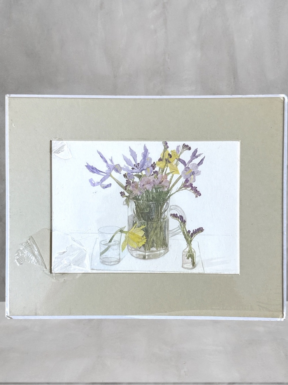 NEW ROBIN ESCHNER CAMP PAPER GLASSES FROM A GARDEN PRINT 8X10